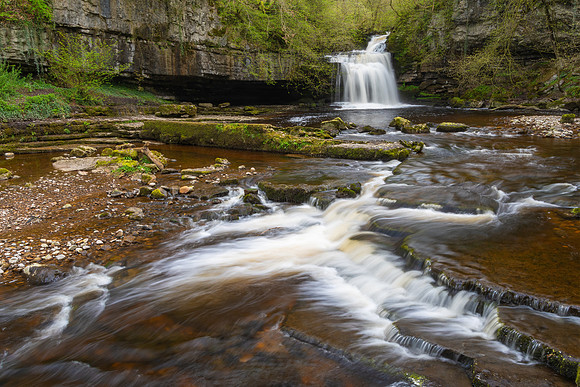 West Burton Force