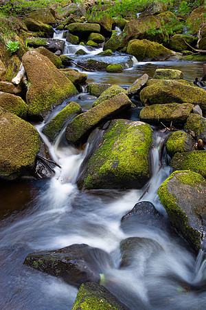 Burbage Brook 3, Padley Gorge, Peak District