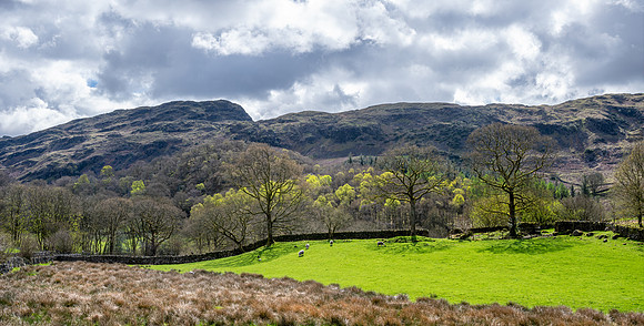 Wasdale
