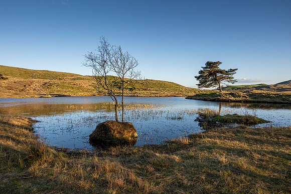 Kelly Hall Tarn, Lake District