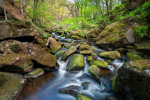 Burbage Brook 2, Padley Gorge, Peak District