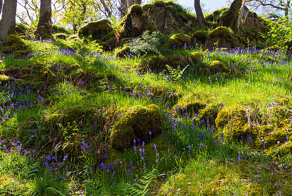 Afternoon Light, Yorkshire Dales