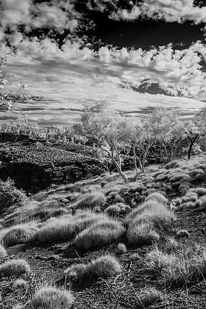 Dales Gorge Infra-red