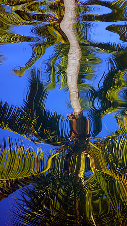 Fiji Vuda Harbour 3
