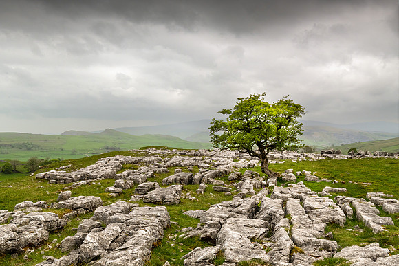 Winskill Stones, Yorkshire Dales