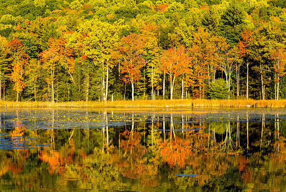Plantain Pond, Massachusetts
