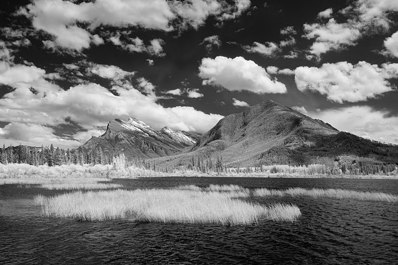 Vermillion Lakes - Infrared, Banff NP
