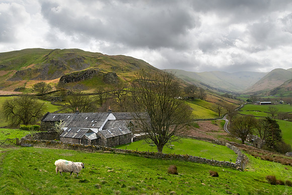 Martindale