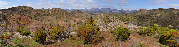 Flinder's Ranges, SA