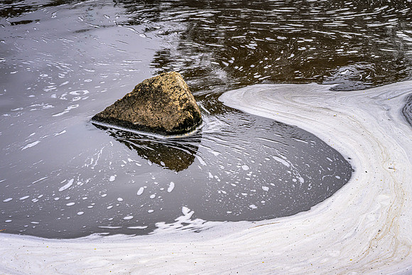 Polly McQuinn's Reserve (Detail 1), Strathbogie Ranges