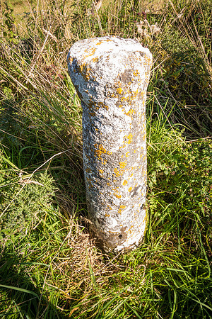 The Cross in Hand