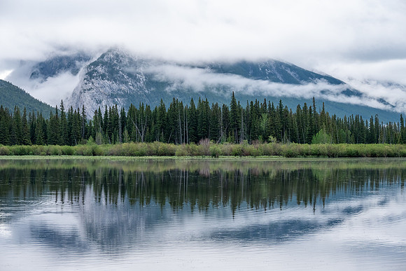 Vermillion Lakes IX, Banff NP