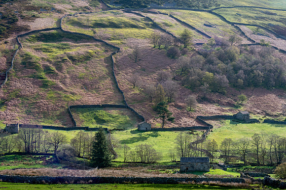 Thwaite