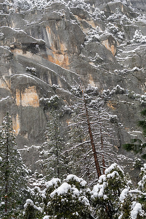 Along Merced River Valley
