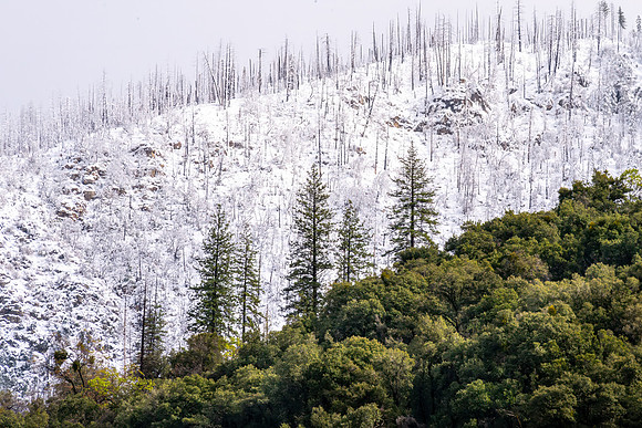 Winter in El Portal