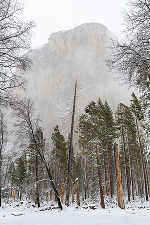 El Capitan Picnic Area