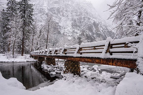 Pedestrian Bridge