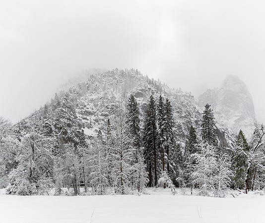 Cook's Meadow