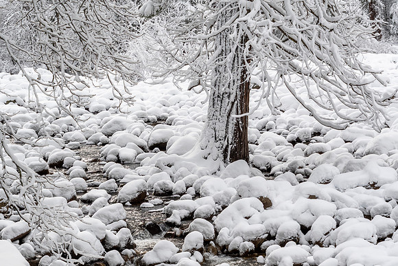 Merced River Valley II