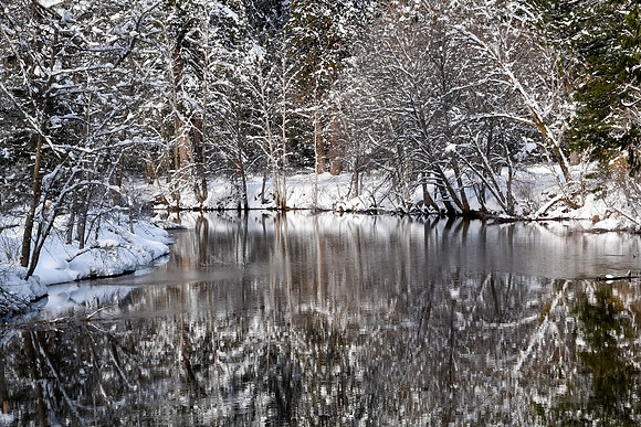 Reflections II