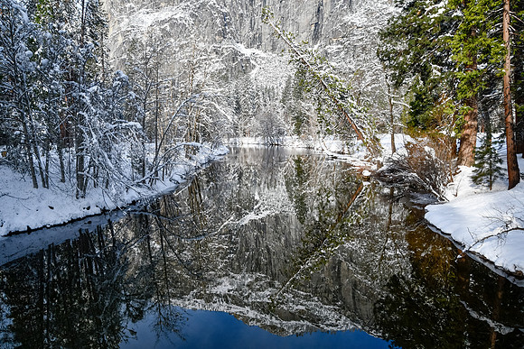 Reflections