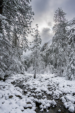 Merced River Valley IV
