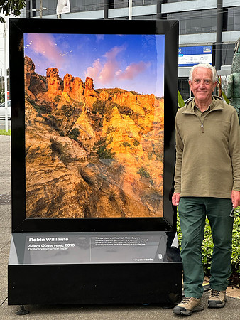 'Silent Observers'  from Kingston City Council Exhibition.