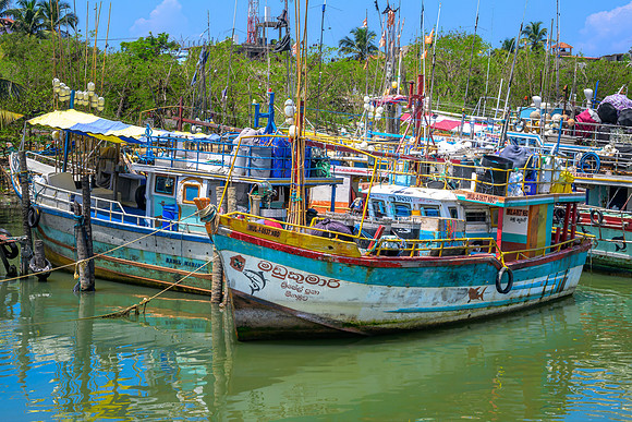 Negombo Lagoon