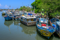 Negombo Lagoon II
