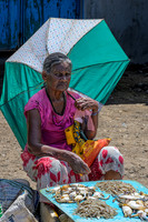 Fish Seller Negombo