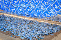Fish Drying I