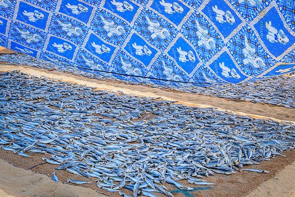 Fish Drying I