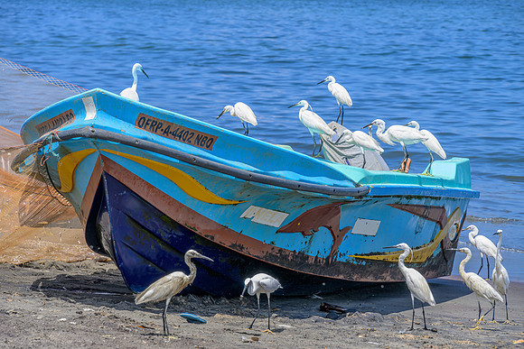 Negombo Fishing Boat