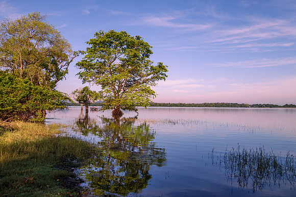 Kandalama Lake III