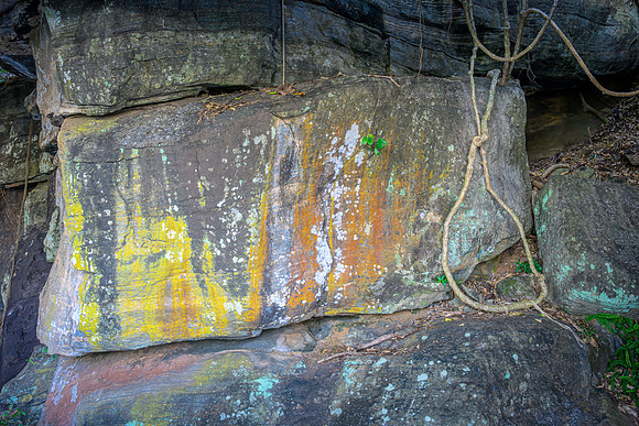 Rock face, Kandalama