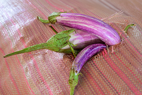 Kandy vegetable market VI