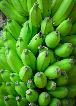 Kandy vegetable market I