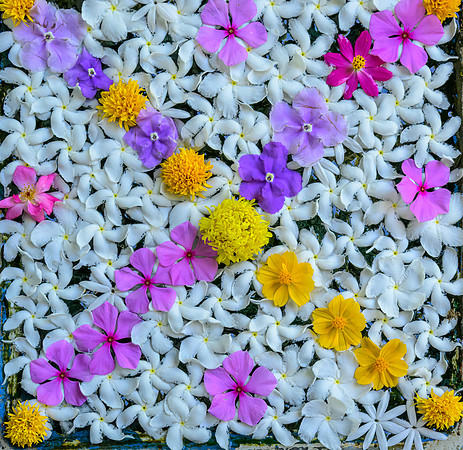 Floral Display – Matale Spice Centre