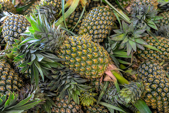 Kandy vegetable market VII