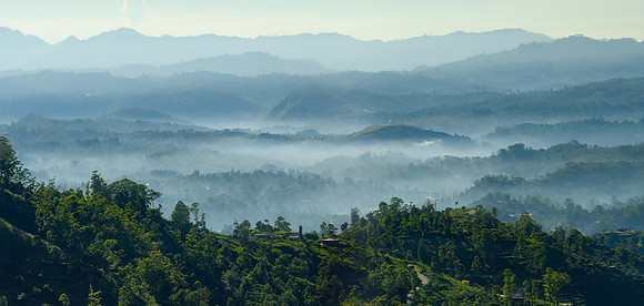 High Country Mist I