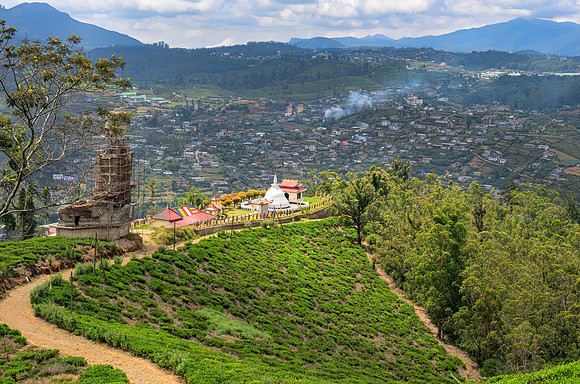 Single Tree Hill, Nuwara Eliya