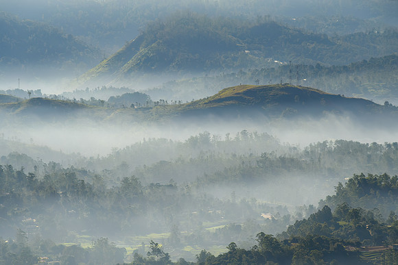 High Country Mist II