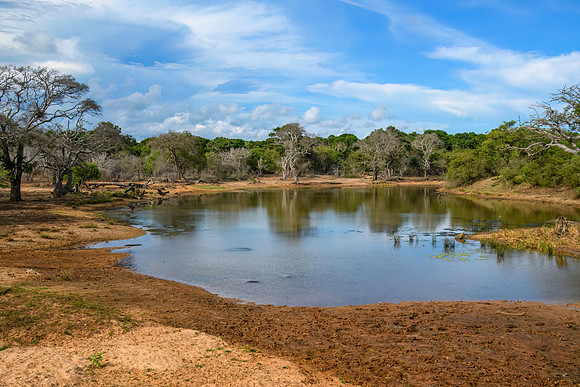 Yala National Park III