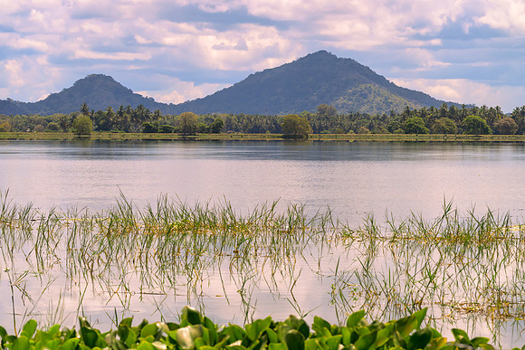 Weerawila Rajawarna Lake