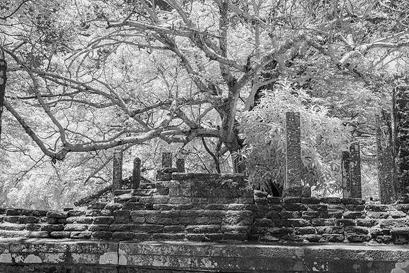 Polonnaruwa – Infared