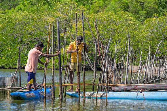 Prawn Fishermen, Madu River
