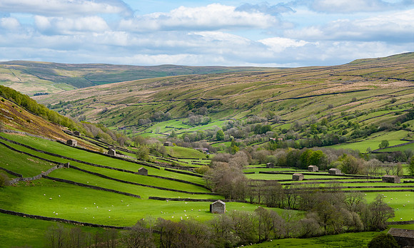 Swaledale, Yorkshire Dales