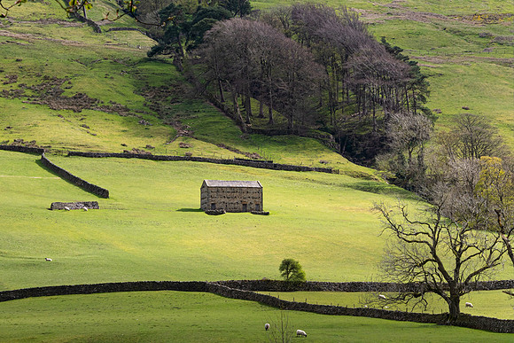 Swaledale