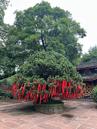 Offering Tree, Bao Guo