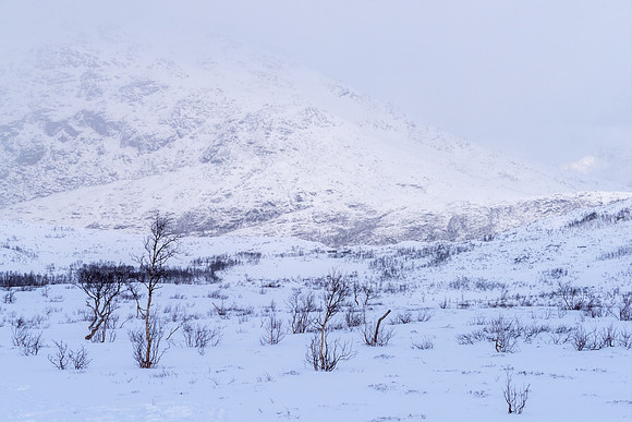 Lyngen Alps I
